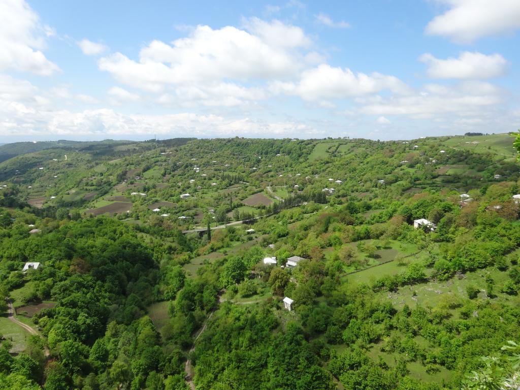 Giorgi'S Homestay Кутаїсі Екстер'єр фото